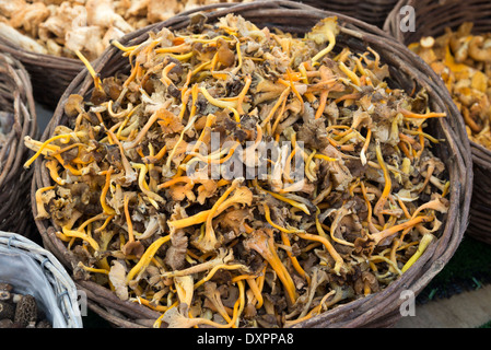 Chanterelle mushrooms for sale at farmers market, London, England, UK Stock Photo