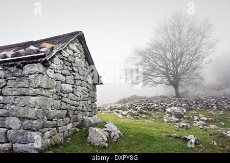 stone shed in mountain and a tree Stock Photo