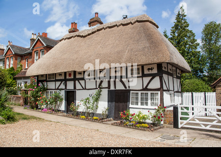 The Cat house Henfield Stock Photo