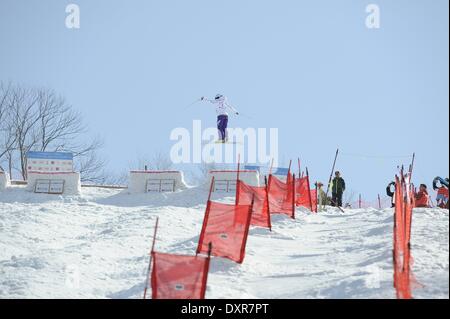 Nagano, Japan. 27th Mar, 2014. Aiko Uemura Freestyle Skiing : The 34th All Japan Ski Championship Freestyle Skiing Women's Moguls at Hakuba47 in Nagano, Japan . Credit:  Hiroyuki Sato/AFLO/Alamy Live News Stock Photo