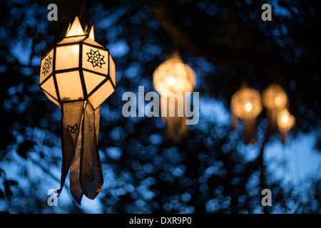 Paper lanterns hanging on a tree at dusk during Loy Krathong in Chiang Mai, Thailand. Stock Photo