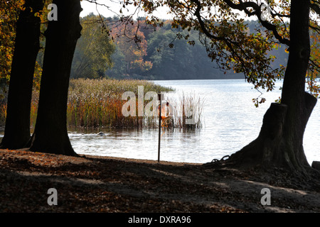 Berlin, Germany, Autumn at Grunewaldsee Stock Photo