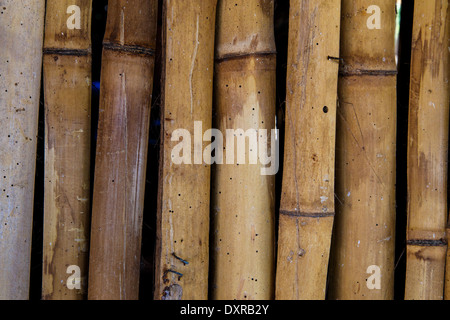 photography of natural bambu texture Stock Photo