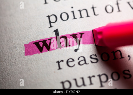 WHY DICTIONARY DEFINITION visual data 6
