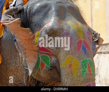 Colored Indian elephant in Amber Palace, Jaipur, India. Stock Photo