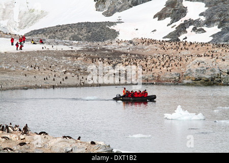 Antarctica tourism among the landscape of Antarctic iceberg, glacier, ice, and penguin with tourists in zodiacs.