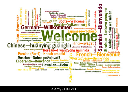 Welcome phrase in 78 different languages. Words cloud concept Stock Photo