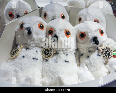 'Toys R Us' Store Interior in Times Square, NYC Stock Photo