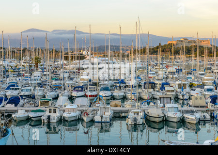 Antibes Harbour with Yachts and Fort in the background Stock Photo