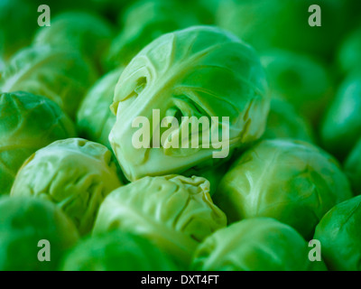 Extreme close up of raw brussels sprouts Stock Photo