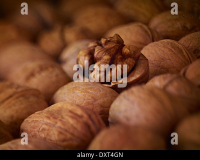 Extreme close up of walnuts shelled and in shell Stock Photo