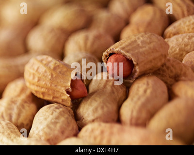 Extreme close up of peanuts in shell Stock Photo