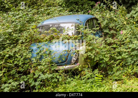 Wartburg classic car abandoned in woodland and overgrown, Abergavenny, Wales, UK Stock Photo