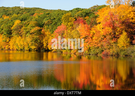 Peak foliage reflecting on lake near Harriman State Park, New York Stock Photo