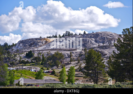 Mammoth Hot Springs Wyoming, USA. Large Complex of Hot Springs on a Hill of Travertine in Yellowstone National Park. Yellowstone Stock Photo
