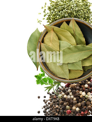 Various Spices And Herbs On A White Background Stock Photo