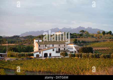 Buildings in extensive vineyards in the wine qualified region of Penedes, Spain Stock Photo