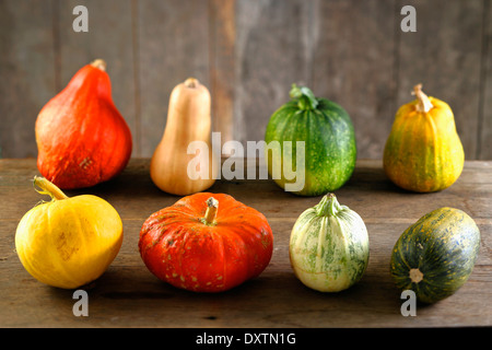 Assorted pumpkins and squashes Stock Photo