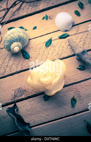 Scented candle and sea shells on a wooden background Stock Photo