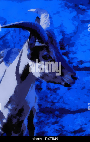 Bighorn or Bighorn sheep (lat. Ovis canadensis) - kind of sort of cloven-hoofed sheep, watercolor, goat Stock Photo