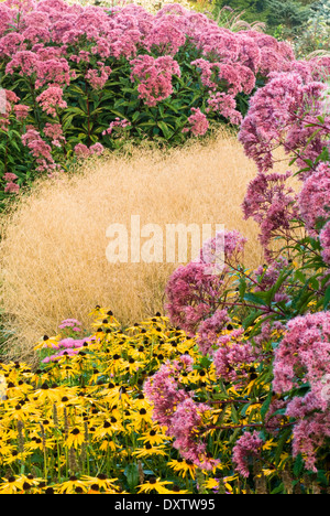 Perennial and Ornamental Grass combination in September, early autumn. Stock Photo