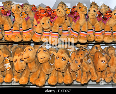 camels plush souvenir Abu Dhabi international airport Stock Photo