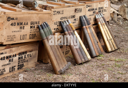 40mm shell hi-res stock photography and images - Alamy