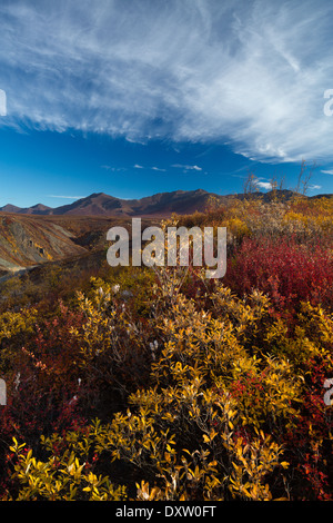 Tombstone Pass and the upper valley of the North Klondike River in autumn, Tombstone Territorial Park, Yukon Territories, Canada Stock Photo