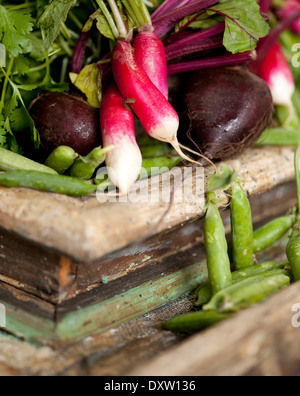 Fresh vegetables Stock Photo