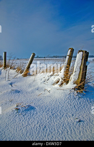 Fence posts on the edge of a Cotswold field, with a covering of snow. Stock Photo