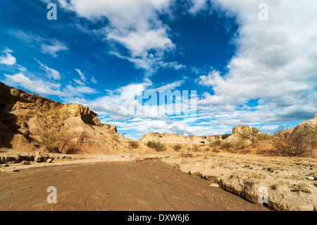 Dry river bed in Tatacoa desert in Colombia Stock Photo