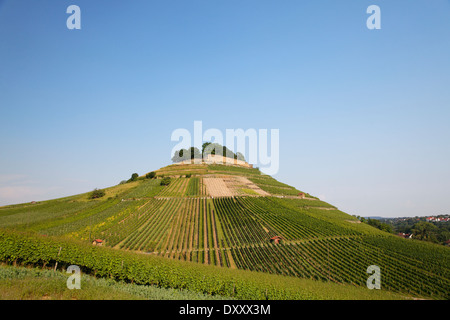 Germany, vineyard, castle ruins 'Weibertreu', Deutschland, Baden-Württemberg, Weinsberg, Burgruine 'Weibertreu' Stock Photo