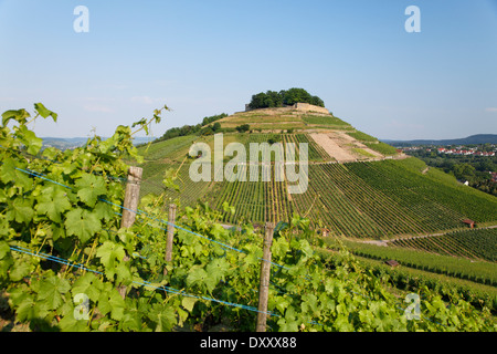 Germany, vineyard, castle ruins 'Weibertreu', Deutschland, Baden-Württemberg, Weinsberg, Burgruine 'Weibertreu' Stock Photo