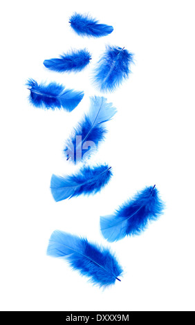 Fluffy bird feathers falling on black background Stock Photo - Alamy