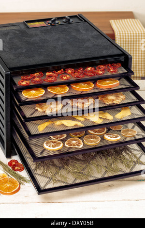 Industrial food dehydrator machine. Professional fruits and vegetables dehydration  machines. Long red pepper in it. Peppers can be dried in the oven a Stock  Photo - Alamy