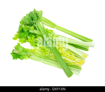 Several fresh celery stalks with leaves on a white background. Stock Photo