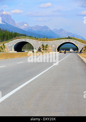 Wildlife overpass crossing the Trans-Canada Highway, Banff National Park, Alberta, Canada Stock Photo