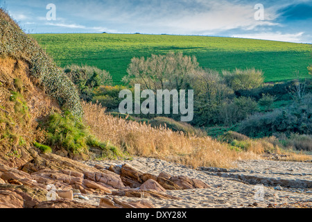 Beautiful coastal scenery a a sunny winter day. Wonwell, Devon. UK Stock Photo