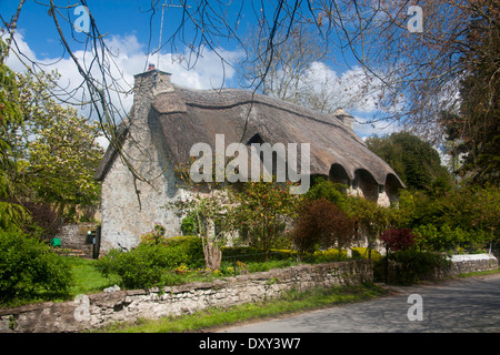 Merthyr Mawr Thatched cottage Bridgend County South Wales UK Stock Photo