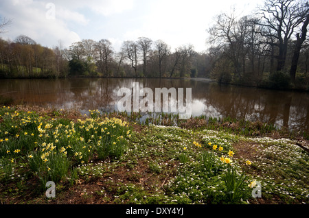 Wood Pond near Kenwood House, Hampstead Heath, London Stock Photo