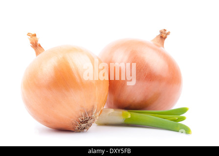 Two onions with greens on a white background. Stock Photo