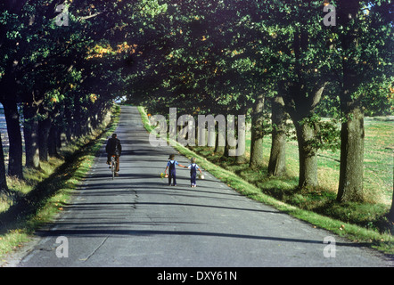 Two boys walking down tree-lined country road in Sweden with bicycler going by in summer Stock Photo