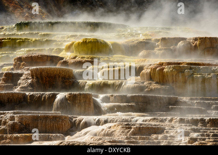 Mammoth Hot Springs is a large complex of hot springs on a hill of travertine in Yellowstone National Park. Stock Photo