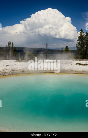 Blue Funnel Spring is a hot spring located in the Lower Group of the West Thumb Basin on the shore of Yellowstone Lake. Stock Photo