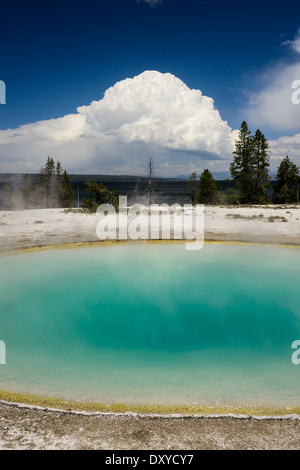 Blue Funnel Spring is a hot spring located in the Lower Group of the West Thumb Basin on the shore of Yellowstone Lake. Stock Photo