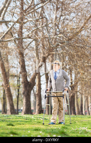 Elderly person walking with walker in park Stock Photo