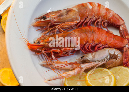 Seafood dish of Tiger Prawns and Langoustine Stock Photo