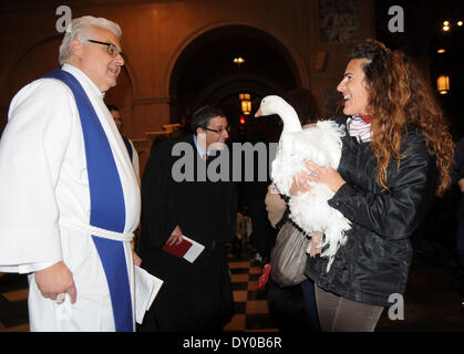 ASPCA Blessing of the Animals at Christ Church United Methodist Featuring: Senior Minister Stephen Bauman Where: New York City NY USA When: 09 Dec 2012 Stock Photo