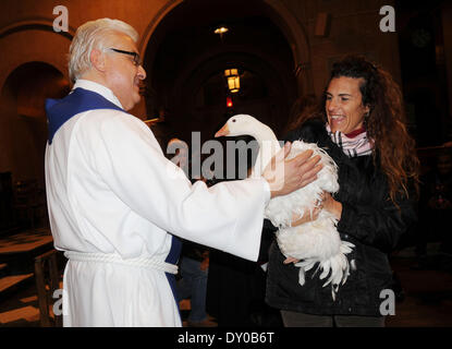 ASPCA Blessing of the Animals at Christ Church United Methodist Featuring: Senior Minister Stephen Bauman Where: New York City NY USA When: 09 Dec 2012 Stock Photo