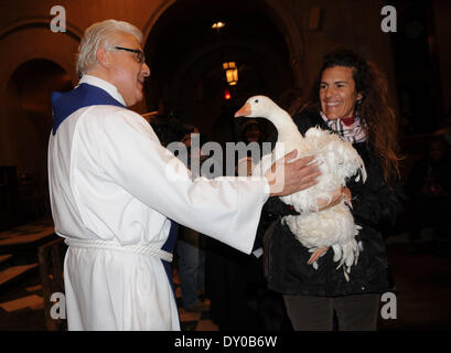 ASPCA Blessing of the Animals at Christ Church United Methodist Where: New York City NY USA When: 09 Dec 2012 Stock Photo